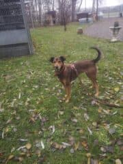 Roxy -  - Bild 3