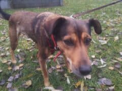 Roxy -  - Bild 4