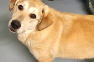 Annika Vogel -  - Bild 3