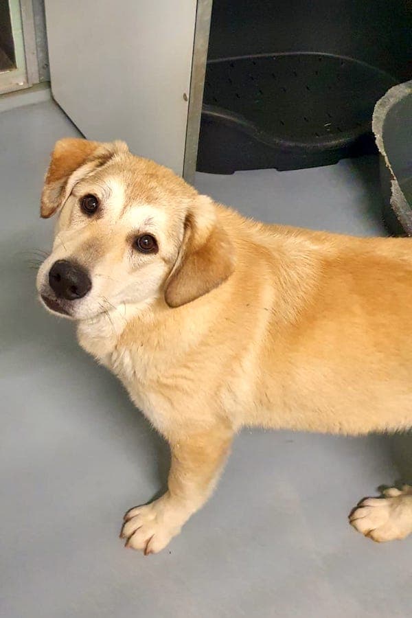 Annika Vogel -  - Bild 2