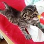 Fritzi -  - Bild 10