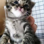 Fritzi -  - Bild 12