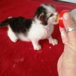 Fritzi -  - Bild 14