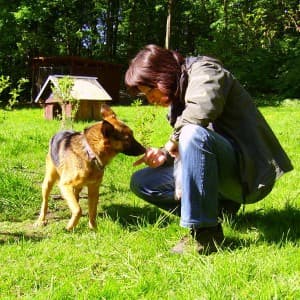Fritzi -  - Bild 1