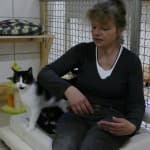 Fritzi -  - Bild 20