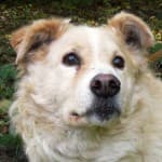 Wolfgang -  - Bild 6