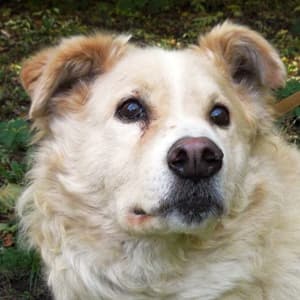 Wolfgang -  - Bild 5