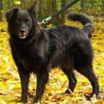 Wolfgang -  - Bild 22