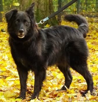 Wolfgang -  - Bild 21