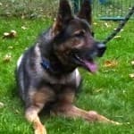 Wolfgang -  - Bild 24