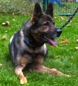 Wolfgang -  - Bild 23