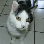 Wolfgang -  - Bild 16