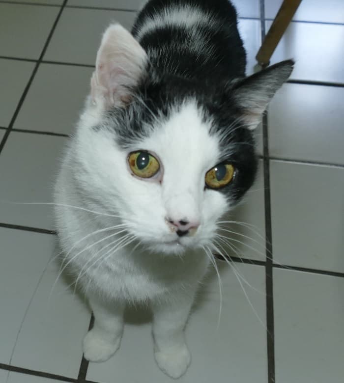 Wolfgang -  - Bild 15