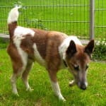 Wolfgang -  - Bild 32