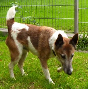 Wolfgang -  - Bild 31