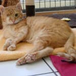 Wolfgang -  - Bild 4