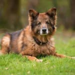 Wolfgang -  - Bild 18