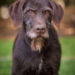Wolfgang -  - Bild 10