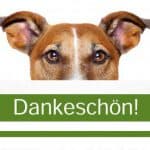 Alpha -  - Bild 7