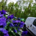 Alpha -  - Bild 5