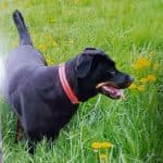 Wolfgang -  - Bild 20