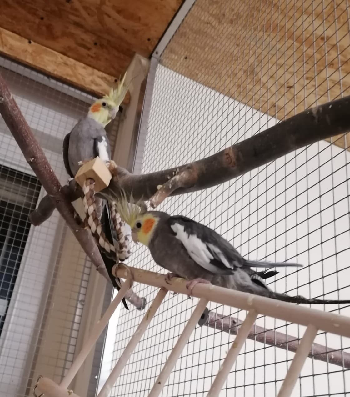 Jaimy -  - Bild 4