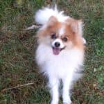 Princess -  - Bild 9
