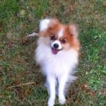 Princess -  - Bild 7