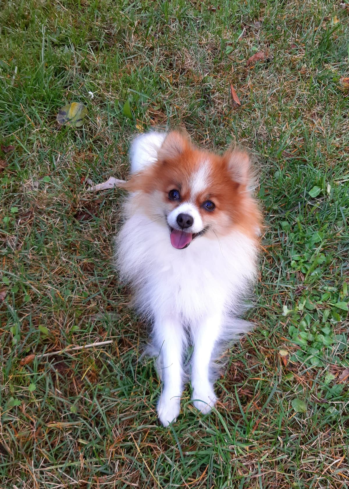 Princess -  - Bild 6