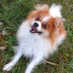 Princess -  - Bild 3