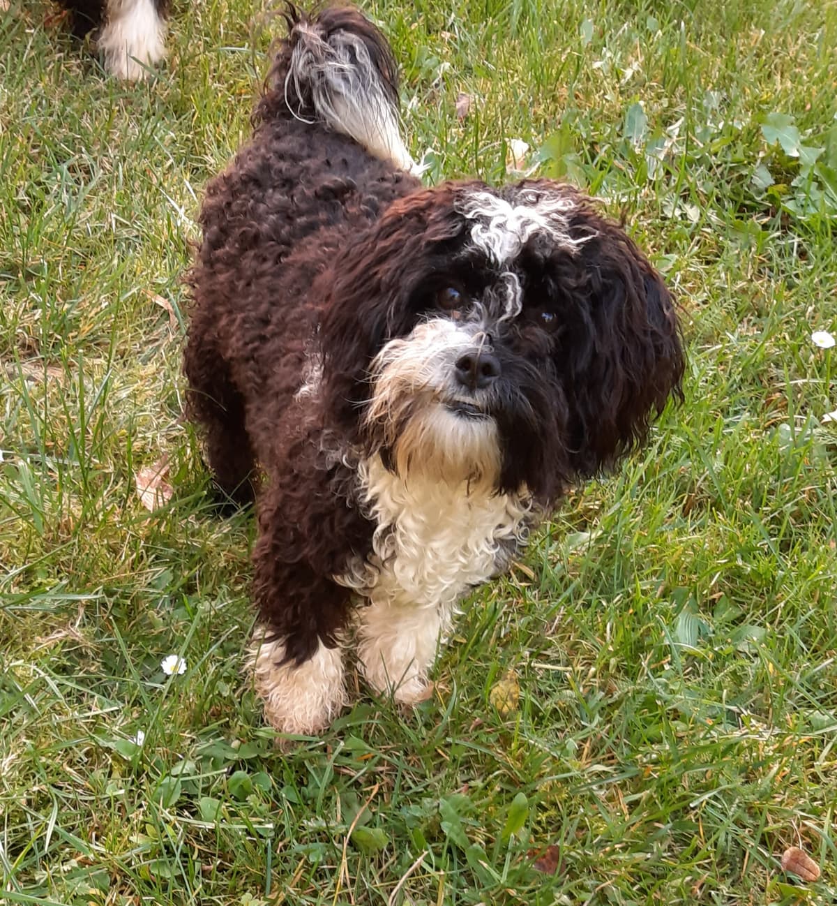 Bert -  - Bild 10