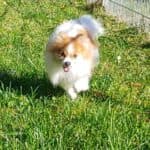 Princess -  - Bild 11