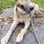 Tina -  - Bild 5