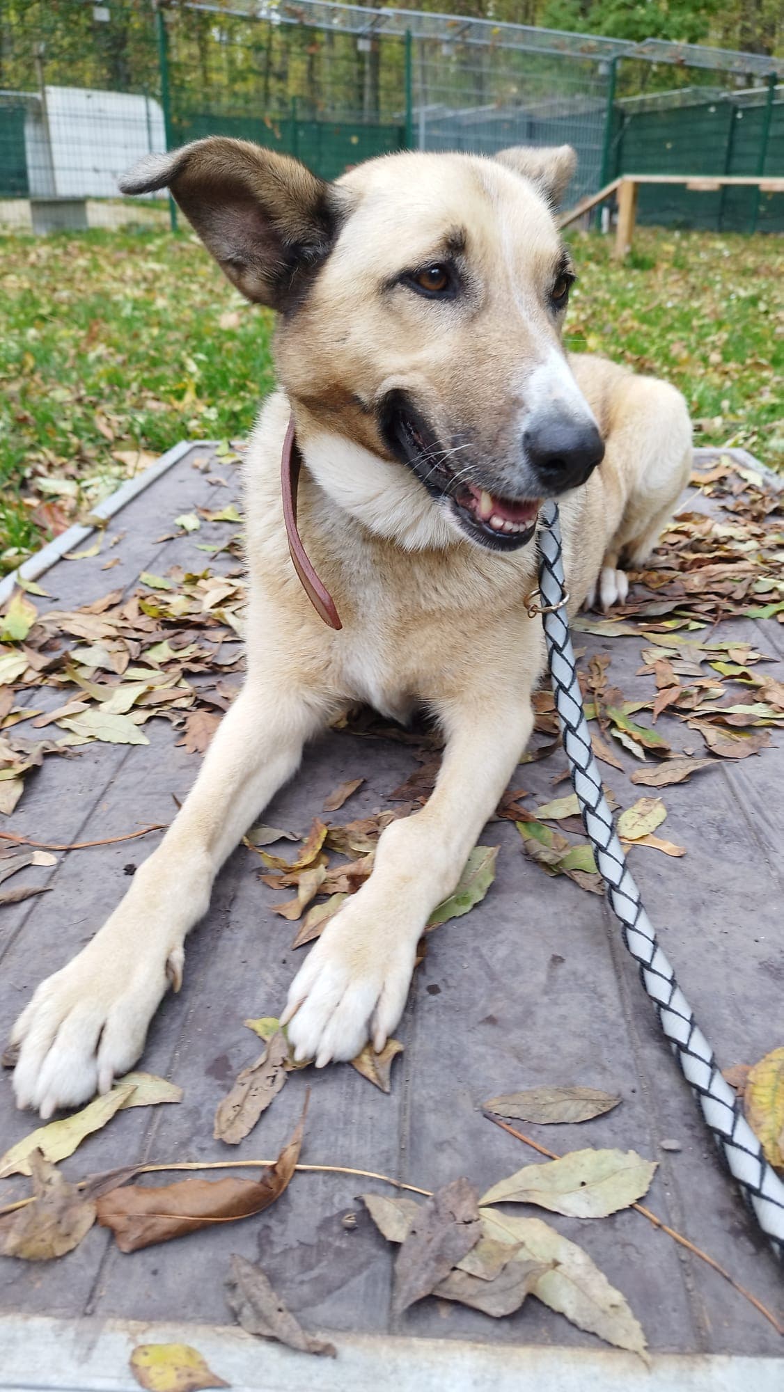 Tina -  - Bild 4