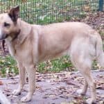 Tina -  - Bild 3