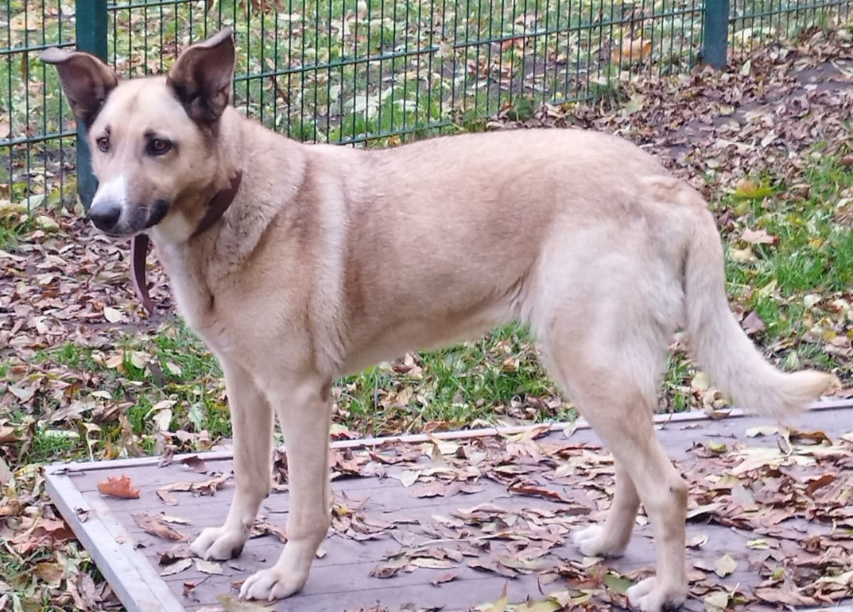 Tina -  - Bild 2