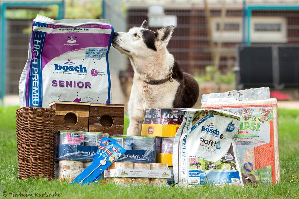 Lyon - Landseer - Bild 3