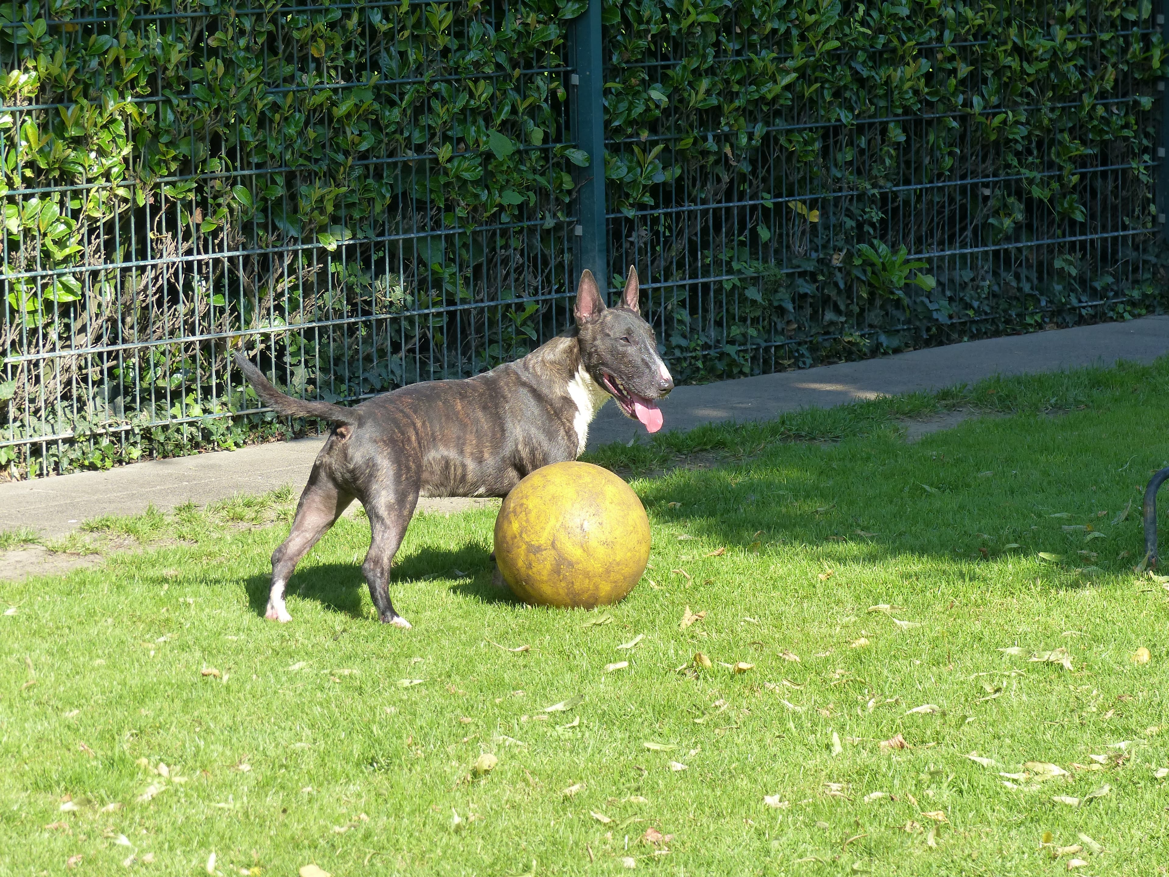 Unbekannt - - Bild 11