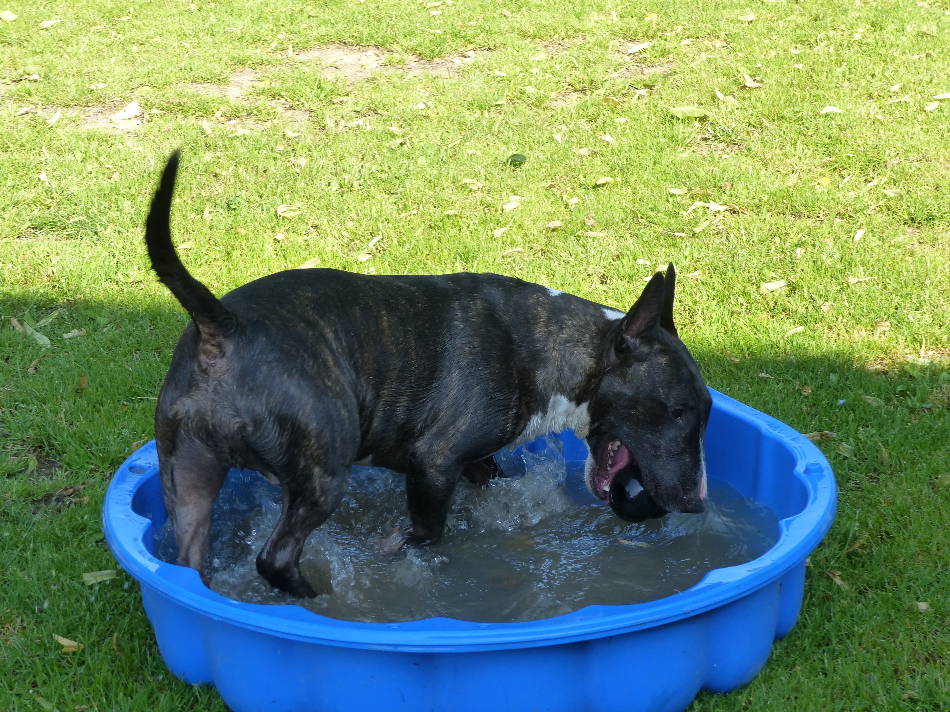 Unbekannt - - Bild 9