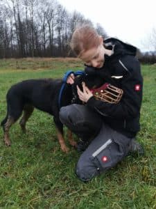 Laila - Rottweiler, Deutscher Schäferhund - Bild 10