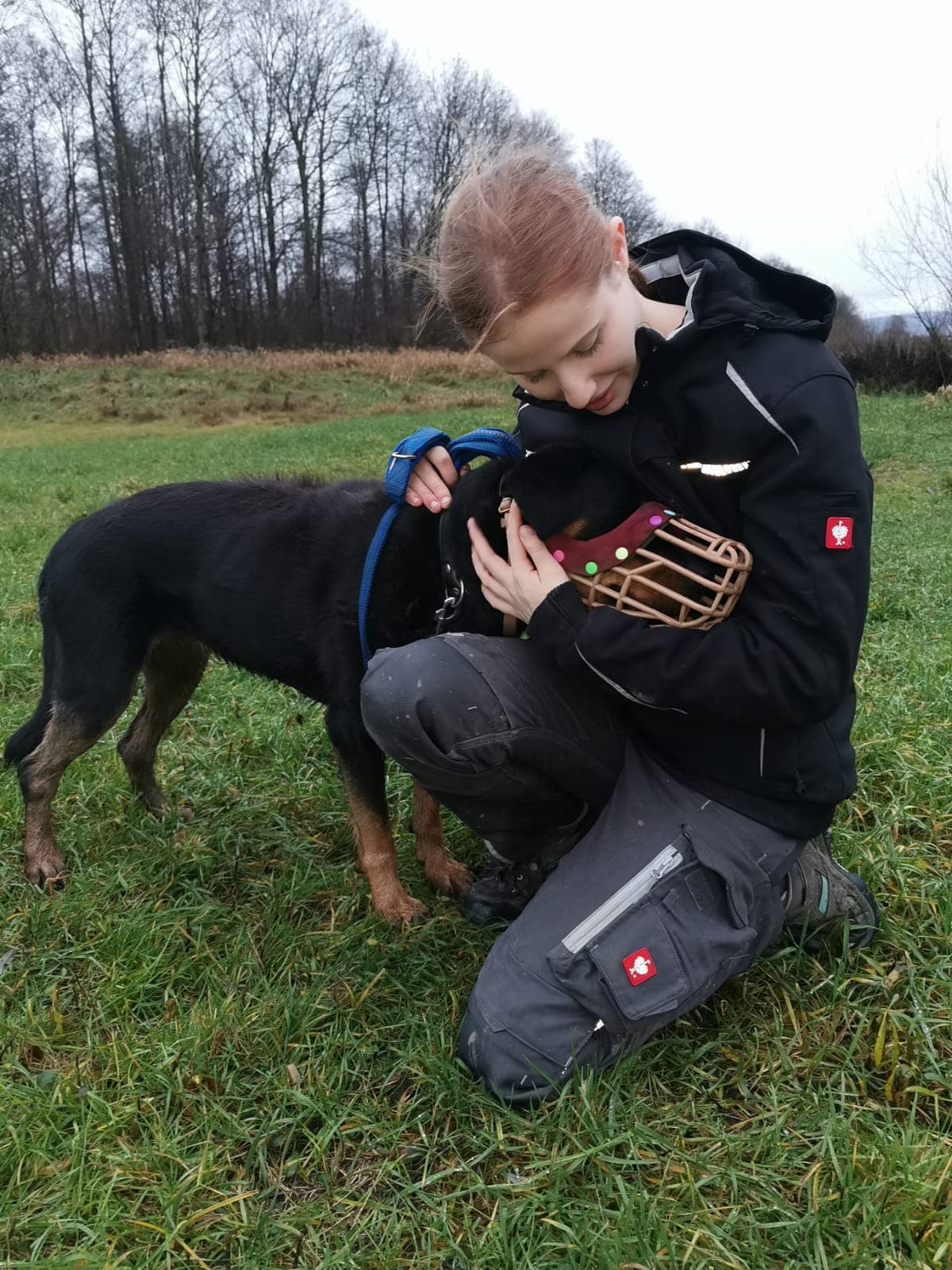 Laila - Rottweiler, Deutscher Schäferhund - Bild 9