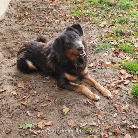 Bayo -  - Bild 1