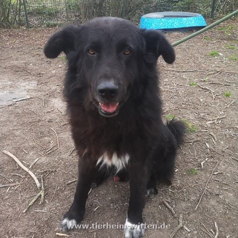 Hugo -  - Bild 1
