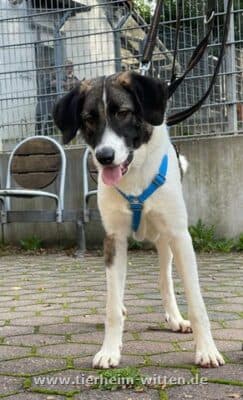 Jens -  - Bild 2
