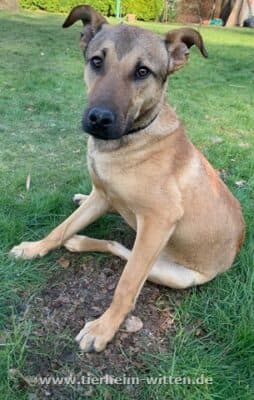 Theo -  - Bild 2