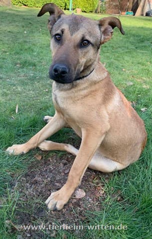 Theo -  - Bild 1