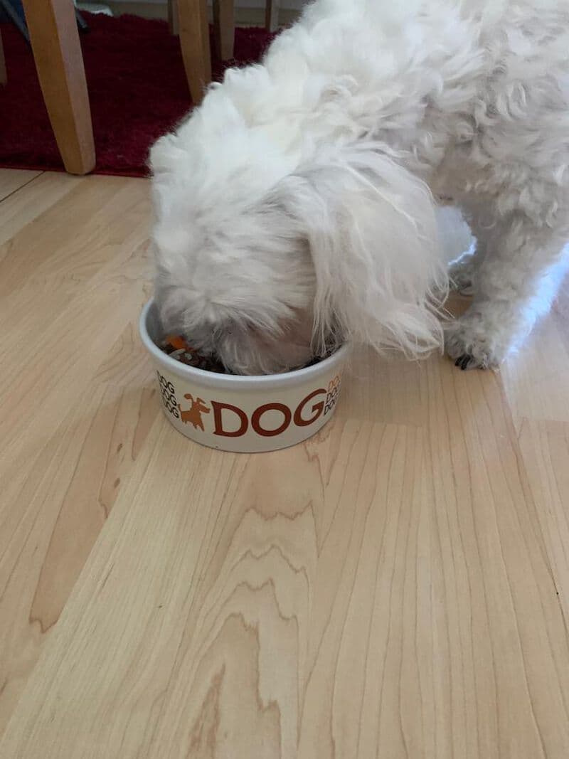 Pako -  - Bild 13