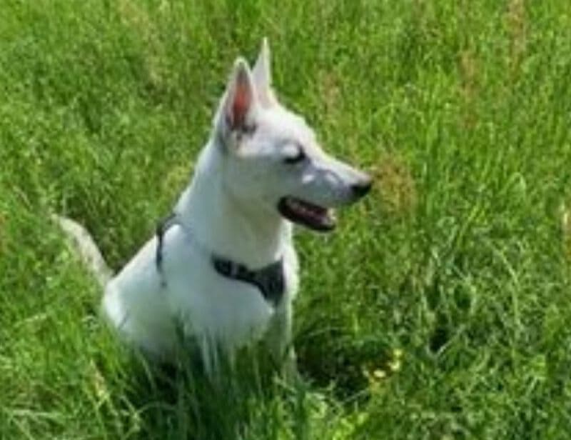 Coco -  - Bild 5
