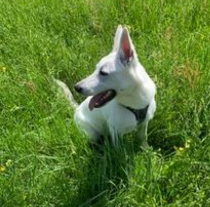 Coco -  - Bild 9