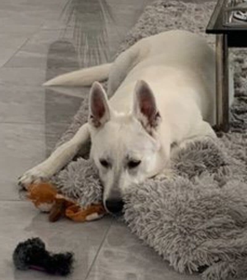 Coco -  - Bild 3